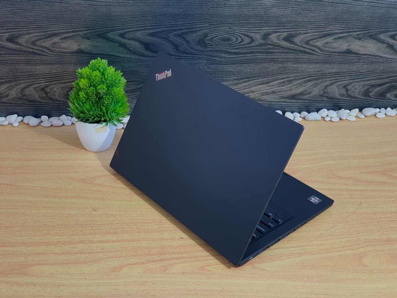 Lenovo ThinkPad T495 AMD R5